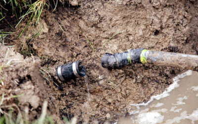 The Science Behind Septic Systems