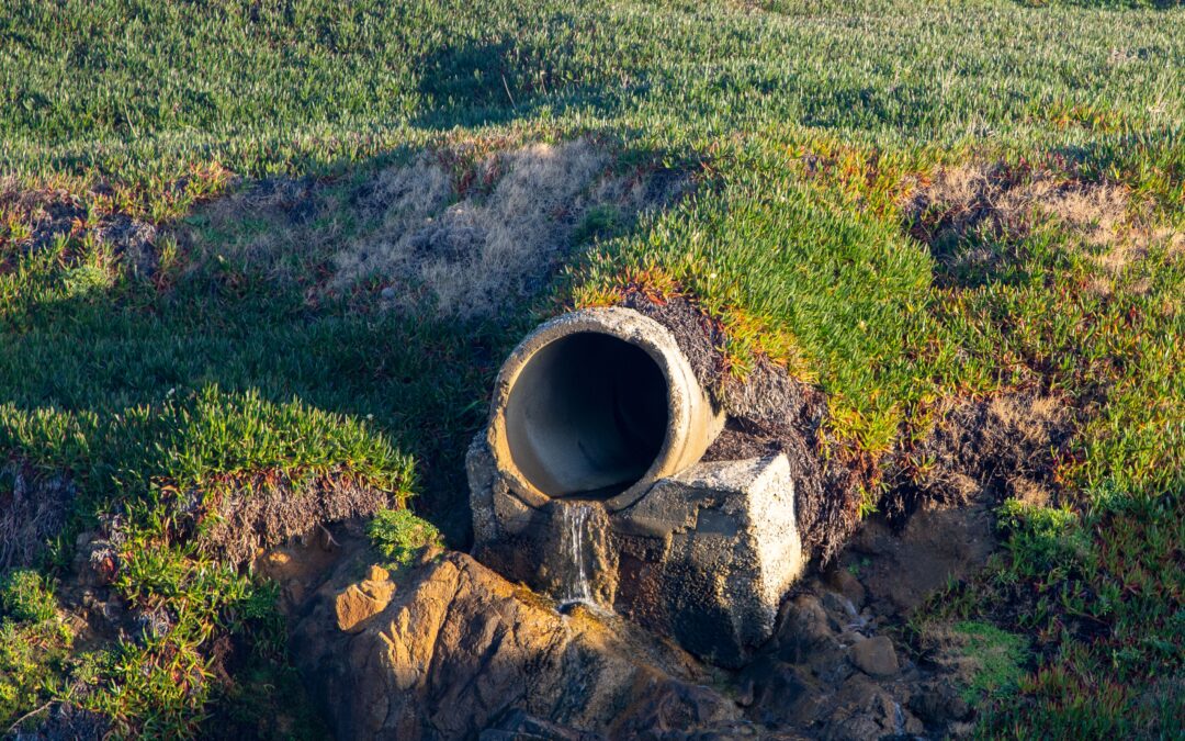 Red Flags for a Failing Septic System