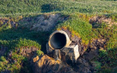 Red Flags for a Failing Septic System