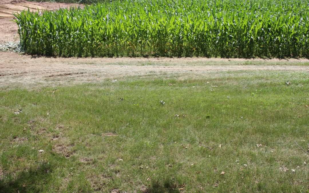 Ham Lake, Custom Septic needs