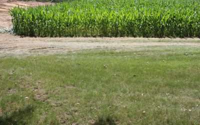 Ham Lake, Custom Septic needs